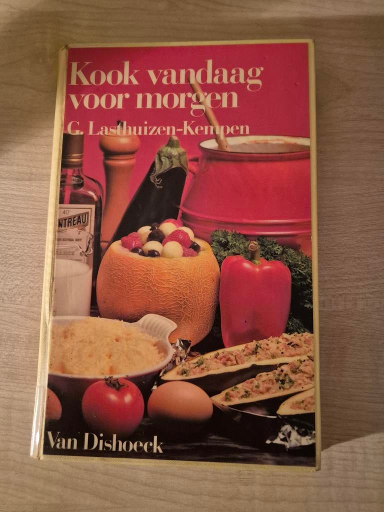 Kook vandaag voor morgen - Lasthuizen Kempen, Ophalen of Verzenden