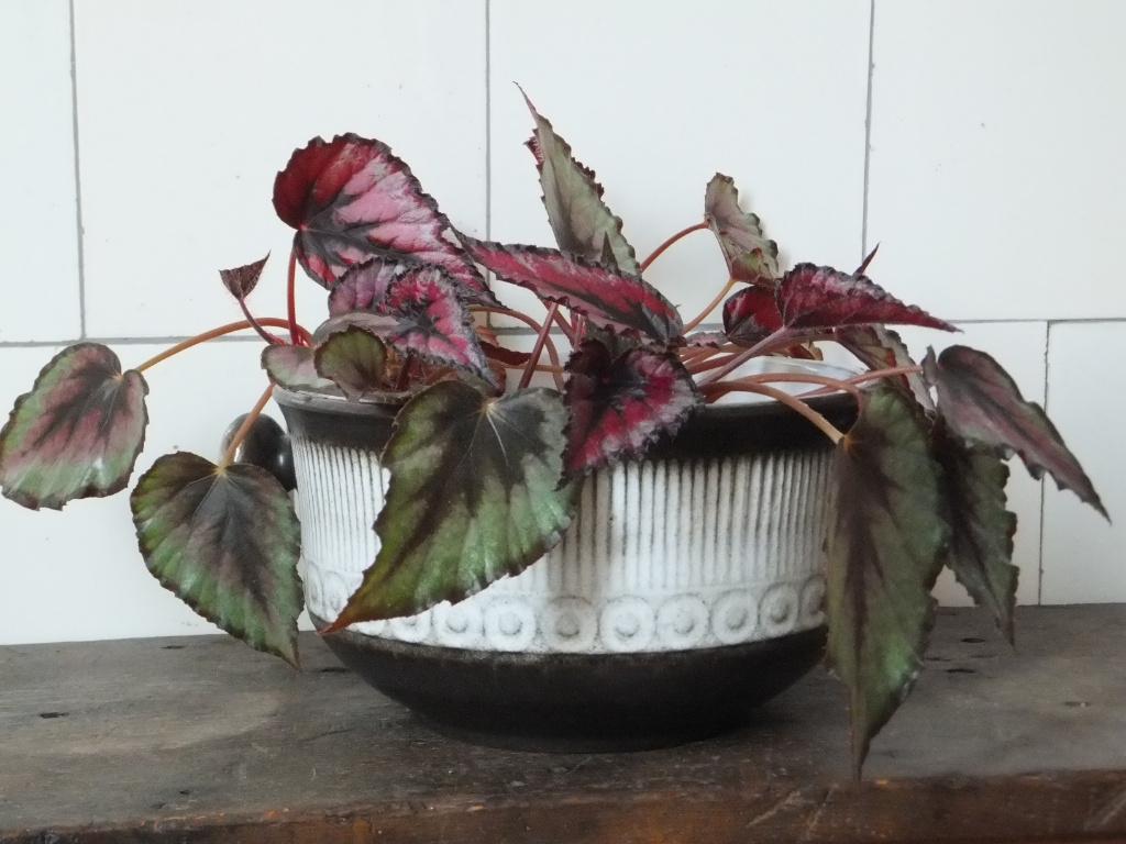 grote groovy vintage plantenschaal bloempot W. Germany 20 cm, Antiek en Kunst, Ophalen