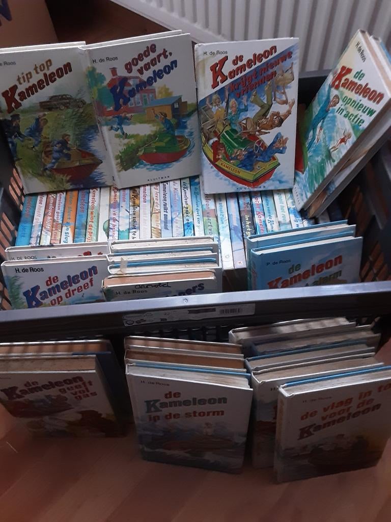 Grote collectie Kameleon boeken - Diverse titels, Ophalen, Gelezen, H. de Roos, Fictie algemeen