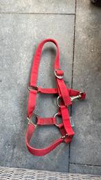 Shetland halster, Ophalen of Verzenden, Gebruikt, Overige soorten