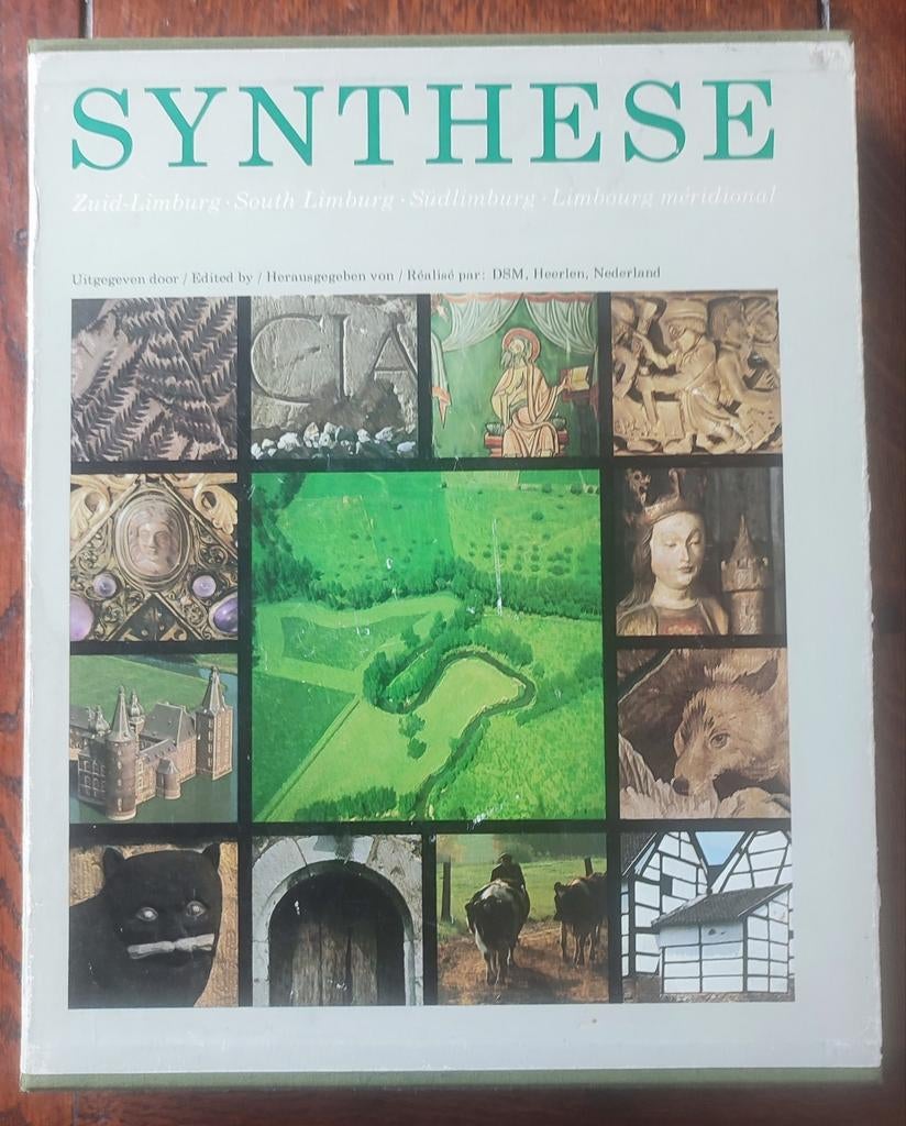 Synthese Boek Limburg, Ophalen, Zo goed als nieuw