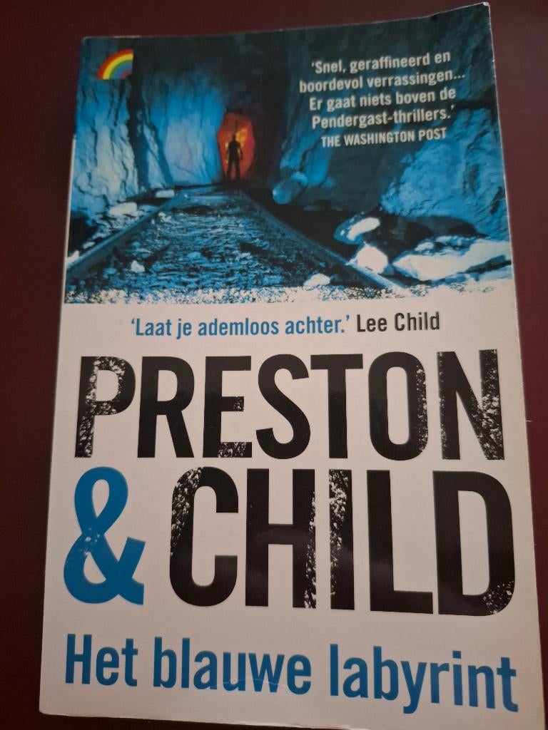 Boek van Preston & Child Het Blauwe Labyrint, Boeken, Ophalen, Gelezen, Diverse