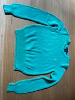 Ralph Lauren trui mint maat M, Kleding | Dames, Truien en Vesten, Ophalen of Verzenden, Zo goed als nieuw, Overige kleuren