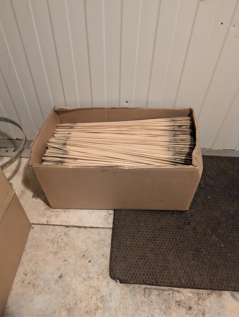 Bamboestokken / splitbamboe 50 cm - diverse teelten, Ophalen of Verzenden, Eenjarig, Fruitplanten, Volle zon