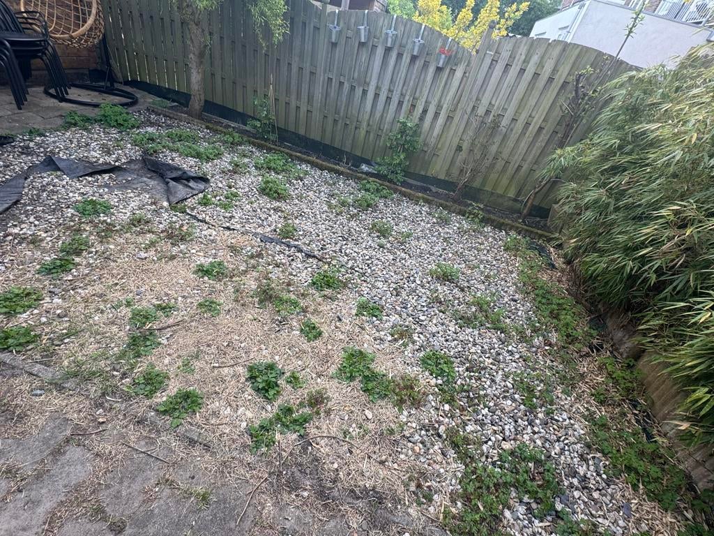 GRATIS - kiezels/stenen/pebbles voor de tuin, Ophalen