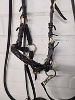 Bitloos hoofdstel te koop FRA, Dieren en Toebehoren, Paarden en Pony's | Hoofdstellen en Tuigage, Ophalen of Verzenden