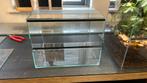 Nieuw 40x30x30cm terrarium, Ophalen, Nieuw, Terrarium of Paludarium