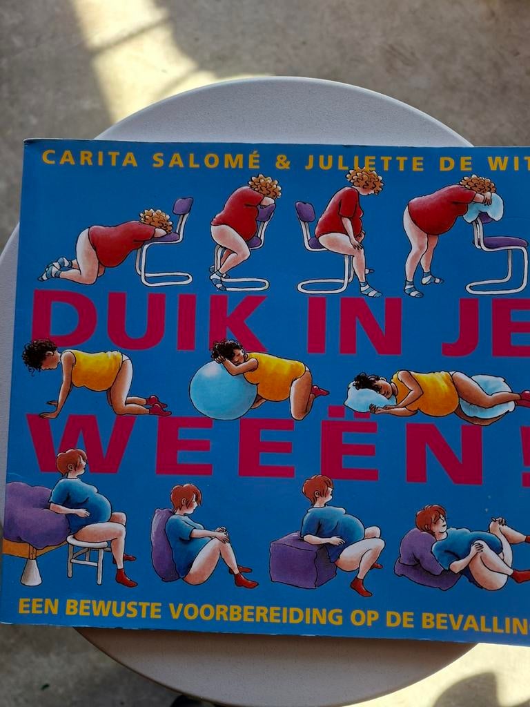 Duik in je weeën! - Bewuste voorbereiding op de bevalling, Ophalen of Verzenden, Gelezen, Zwangerschap en Bevalling, Carita Salomé & Juliette de Wit