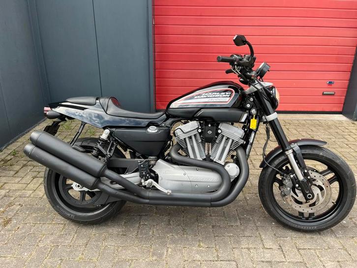 Harley davidson xr 1200, Motoren, Motoren | Schademotoren, Harley-Davidson of Buell, Ophalen