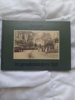p15 Borger in Grootmoeders Tijd - Historisch Fotoboek, Boeken, Geschiedenis | Stad en Regio, Ophalen of Verzenden, 20e eeuw of later
