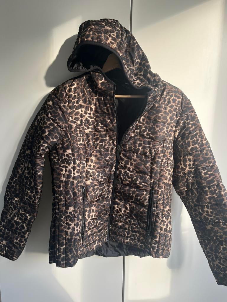 Panter print jas maat M, Ophalen of Verzenden, Zo goed als nieuw, Maat 38/40 (M), Bruin