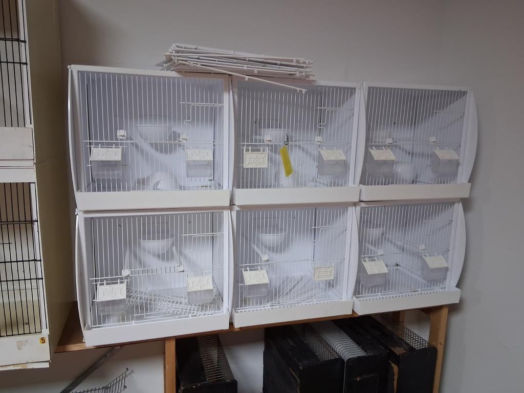 Kunstof broedkooien 6 delig kanaries tropen, Ophalen, Kunststof, Broedkooi of Kweekkooi