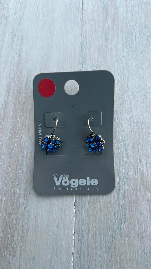 Oorhangers oorbellen, Sieraden, Tassen en Uiterlijk, Oorbellen, Overige materialen, Blauw, Nieuw, Ophalen of Verzenden