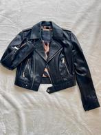 Philipp Plein dames leren jas. S. 100% lamsleer. Origineel, Ophalen of Verzenden, Nieuw, Maat 36 (S), Zwart