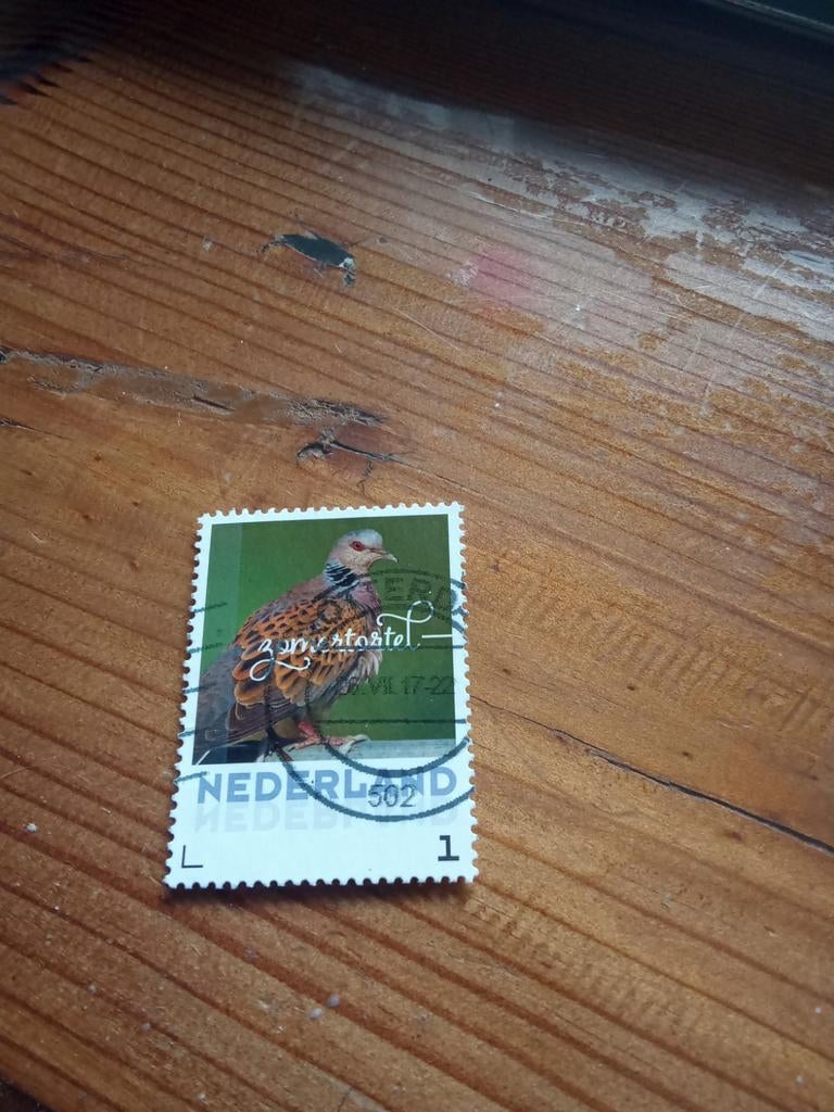 Zomertortel postzegel - Nederland, Ophalen of Verzenden