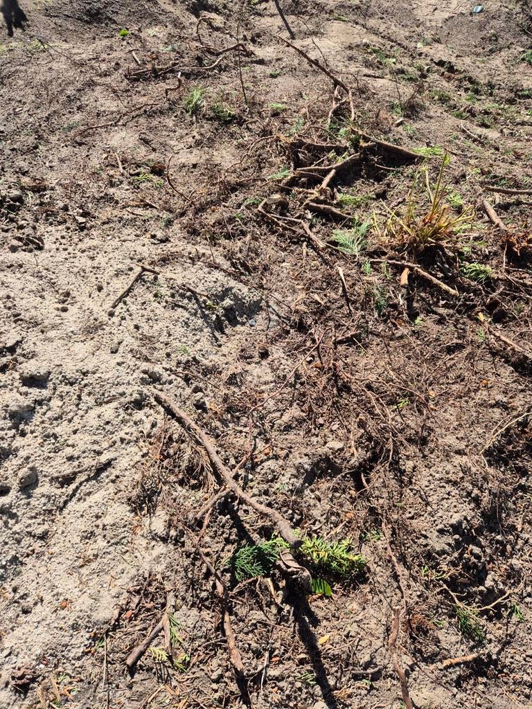 Gratis af te halen: zwarte grond / teelaarde (15–18 m³), Tuin en Terras, Aarde en Mest, Ophalen, Tuinaarde