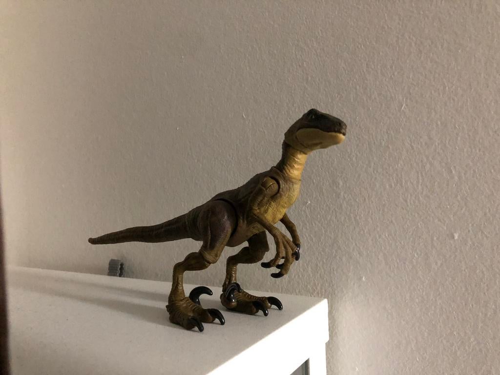 Hammond collection velociraptor, Ophalen of Verzenden, Zo goed als nieuw