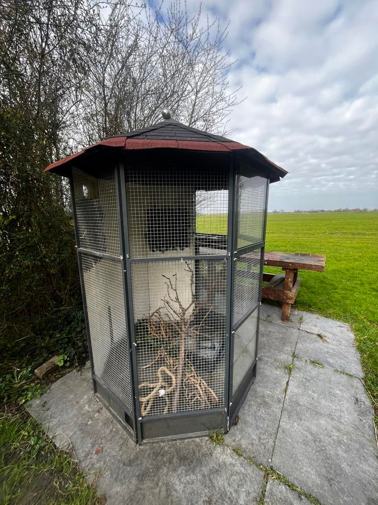 Vrij staande aluminium voliere inclusief plexiglas panelen, Dieren en Toebehoren, Vogels | Hokken en Kooien, Ophalen, Zo goed als nieuw
