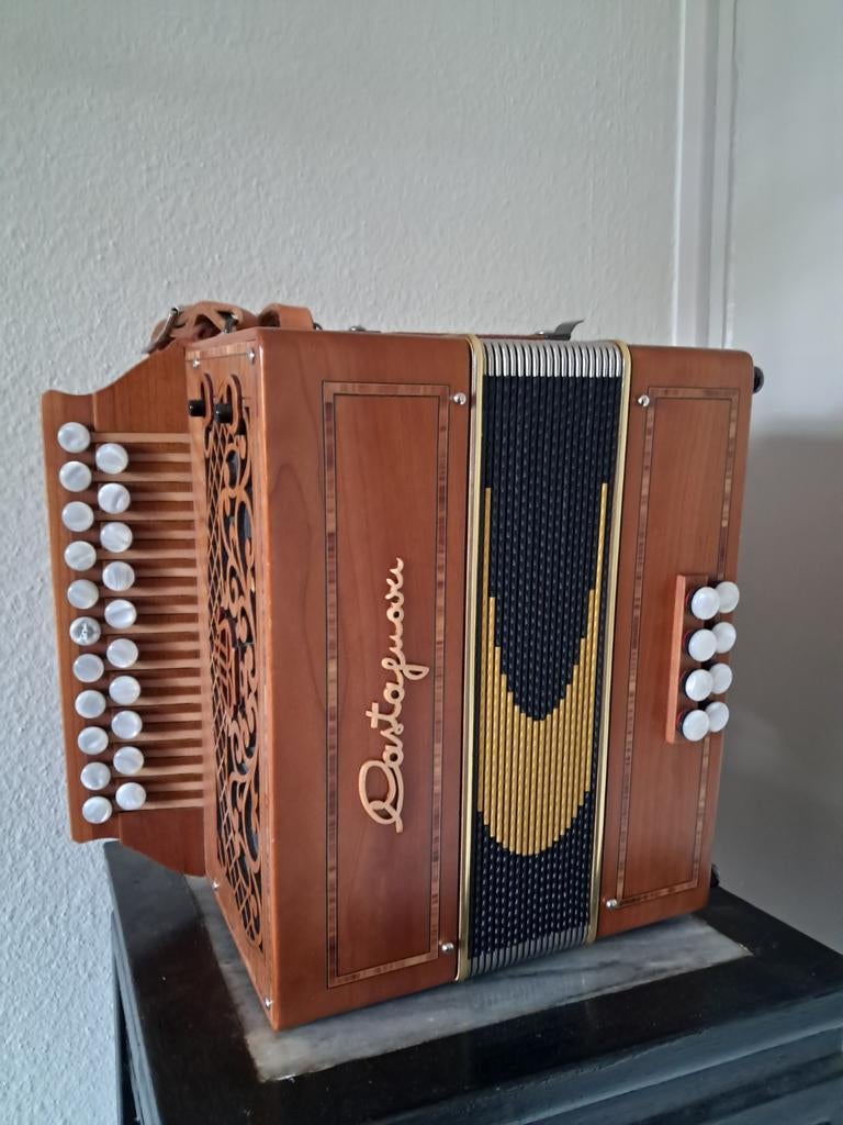 Castagnari, Muziek en Instrumenten, Accordeons, Zo goed als nieuw, 120-bas, Overige merken, Ophalen of Verzenden