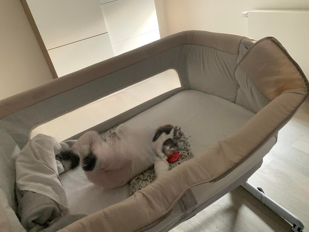 Chicco  babywieg/co-sleeper, Ophalen, Gebruikt, Ledikant