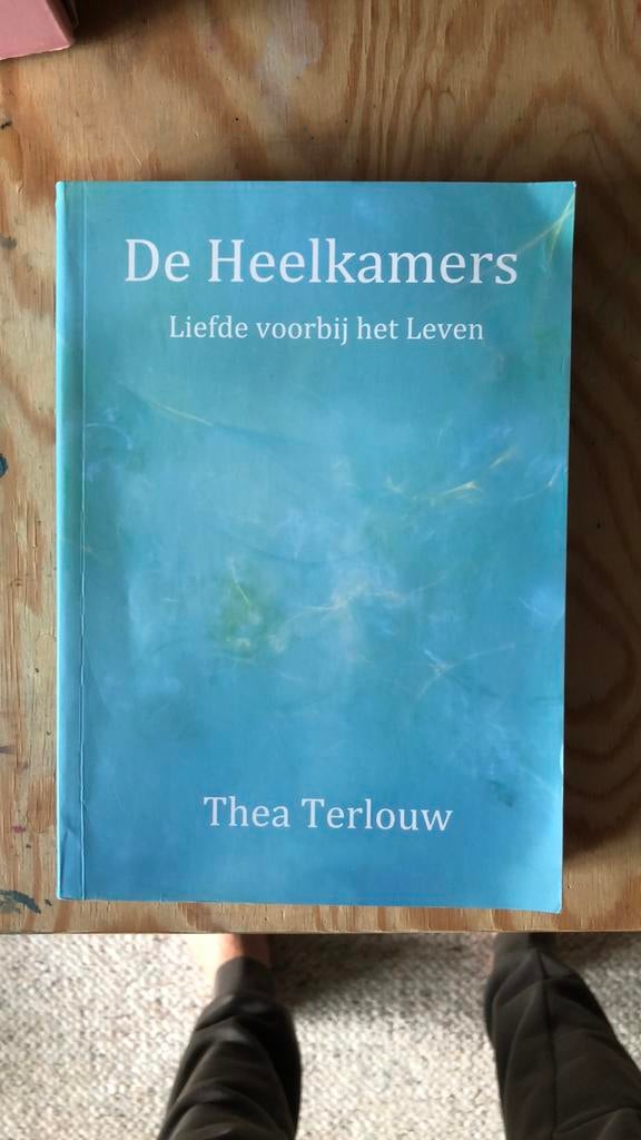 De Heelkamer: Liefde voorbij het Leven - Thea Terlouw, Boeken, Ophalen of Verzenden, Zo goed als nieuw
