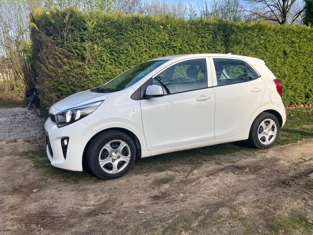 Kia Picanto 1.0 MPi 67pk 4-zits 2020 Wit, Auto's, Voorwielaandrijving, 4 stoelen, Wit, Origineel Nederlands
