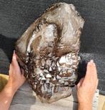 Rookkwarts/Citrien 20 Kg Meester Elestiaal Krokodillenkwarts, Ophalen of Verzenden, Mineraal