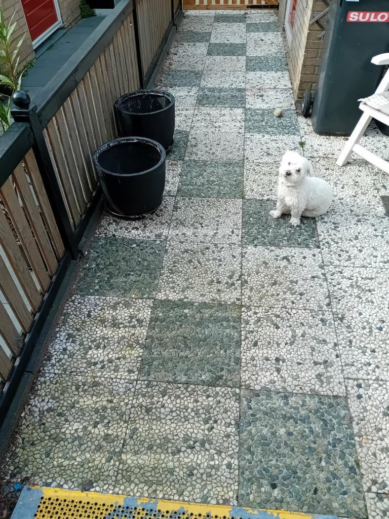 grindtegels, Ophalen, Gebruikt, Beton, Terrastegels