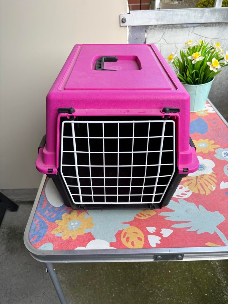 Katten transportkoffer, Dieren en Toebehoren, Ophalen, Zo goed als nieuw