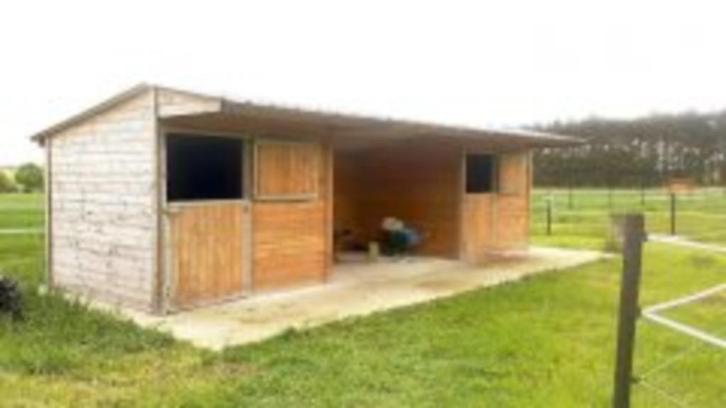 Stalling/weide in eigen beheer gezocht, Dieren en Toebehoren, Stalling en Weidegang, Stalling, Weidegang, 2 of 3 paarden of pony's