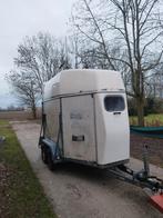 Paardentrailer gezocht voor export / inkoop, Ophalen of Verzenden, Gebruikt