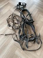 Mentuigje voor Shetland pony. ( VERKOCHT), Ophalen of Verzenden, Gebruikt, Overige soorten