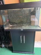 Juwel rio 125 met meubel, Ophalen, Gebruikt, Leeg aquarium