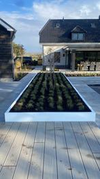 Mega bloembak van micto op maat, 100 cm of meer, Nieuw, Ophalen of Verzenden, Metaal