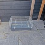 Konijnen/cavia/hamster ren, 110 cm of meer, Cavia, Ren, Ophalen