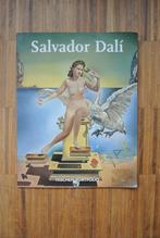 Salvador Dali, portfolio - posterboek - Taschen, Boeken, Ophalen of Verzenden, Zo goed als nieuw, Schilder- en Tekenkunst