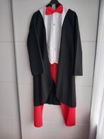 Carnavalskleding, Carnaval, Onbekend, Maat 48/50 (M), Ophalen of Verzenden