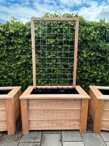 Plantenbak met klimop - Douglas zweeds rabat - 100x40x180 beschikbaar voor biedingen
