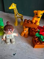 LEGO Duplo Babyzoo 4962, Ophalen of Verzenden, Gebruikt