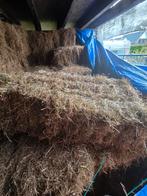 Hooi2025 jakobskruid vrij, Dieren en Toebehoren, Dierenvoeding, Ophalen, Vee