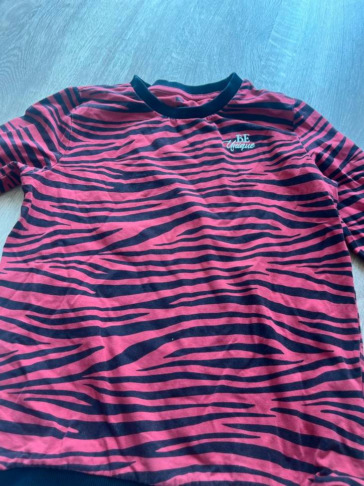 WE Trui 146/152 Rood Zwart Zebra, Kleding | Dames, Truien en Vesten, Zo goed als nieuw, Maat 34 (XS) of kleiner, Rood, Ophalen