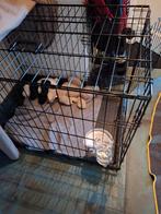 Honden bench zwart, Dieren en Toebehoren, Ophalen, Zo goed als nieuw, 75 tot 110 cm, Minder dan 65 cm