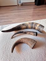 3 Hoorns - Landelijke Brocante Decoratie, Ophalen of Verzenden, Gebruikt