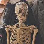 Skelet voor halloween?, Ophalen of Verzenden, Carnaval