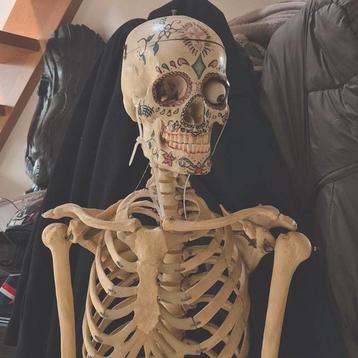 Skelet voor halloween? beschikbaar voor biedingen