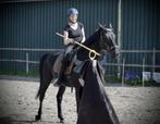 Working Equitation trail