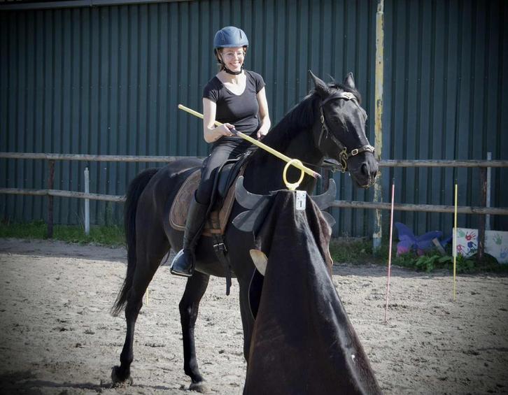 Working Equitation trail, Diensten en Vakmensen, Dieren | Paarden | Verzorging, Oppas en Les