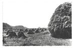 991018 Diever Drenthe 1968 _Gelopen met mooie zegel Vondel