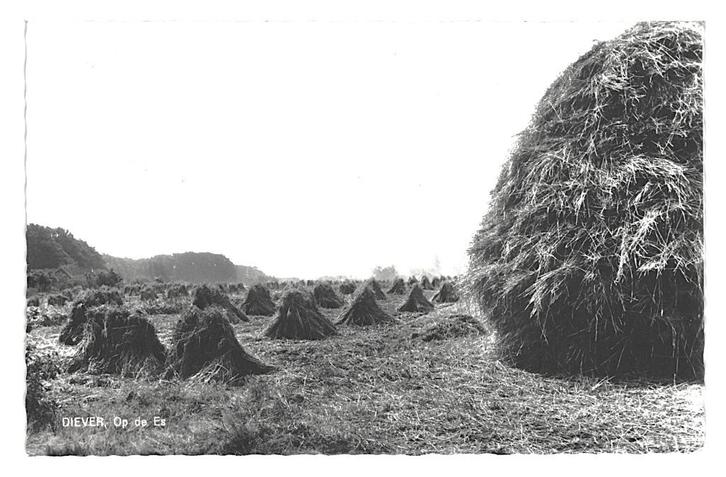 991018 Diever Drenthe 1968 _Gelopen met mooie zegel Vondel, Verzamelen, Ansichtkaarten | Nederland, Gelopen, Drenthe, 1960 tot 1980