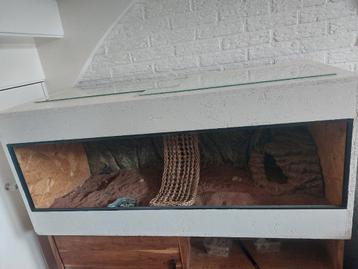 OBS terrarium  beschikbaar voor biedingen